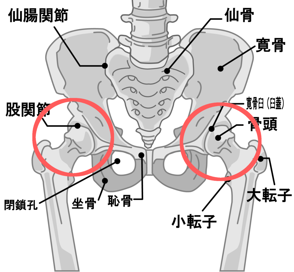 ロマチェンコを封じたセリモフの チェックフック 長濱陸のブログ
